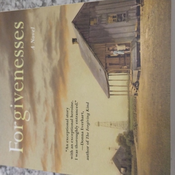 All The Forgiveness by Elizabeth Hardinger book - Picture 3 of 10